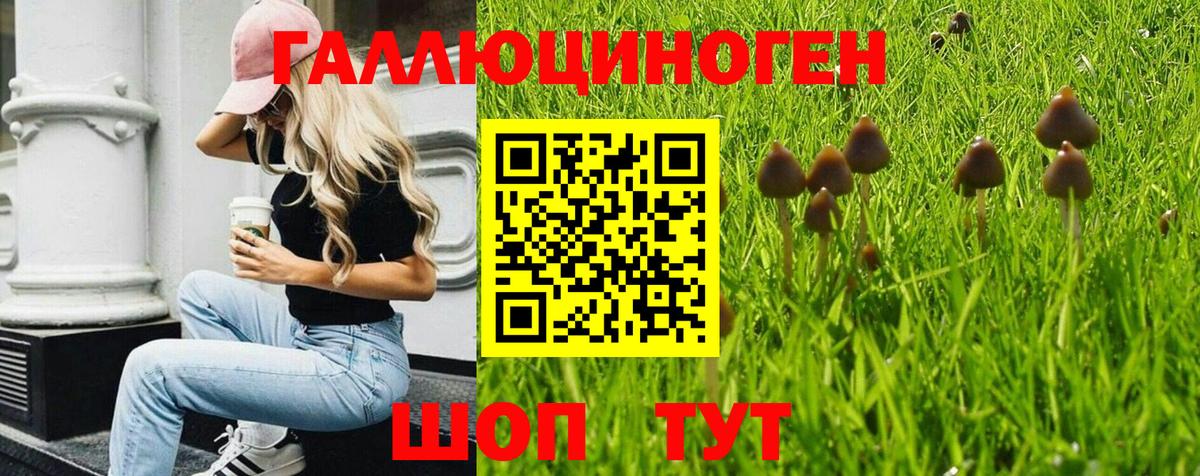 Галлюциногенные грибы Psilocybe  где можно купить   Галлюциногенные грибы прущие грибы  Кондопога  Вход с VPN 